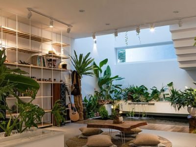 Diseno-Biofilico-01-1000x480